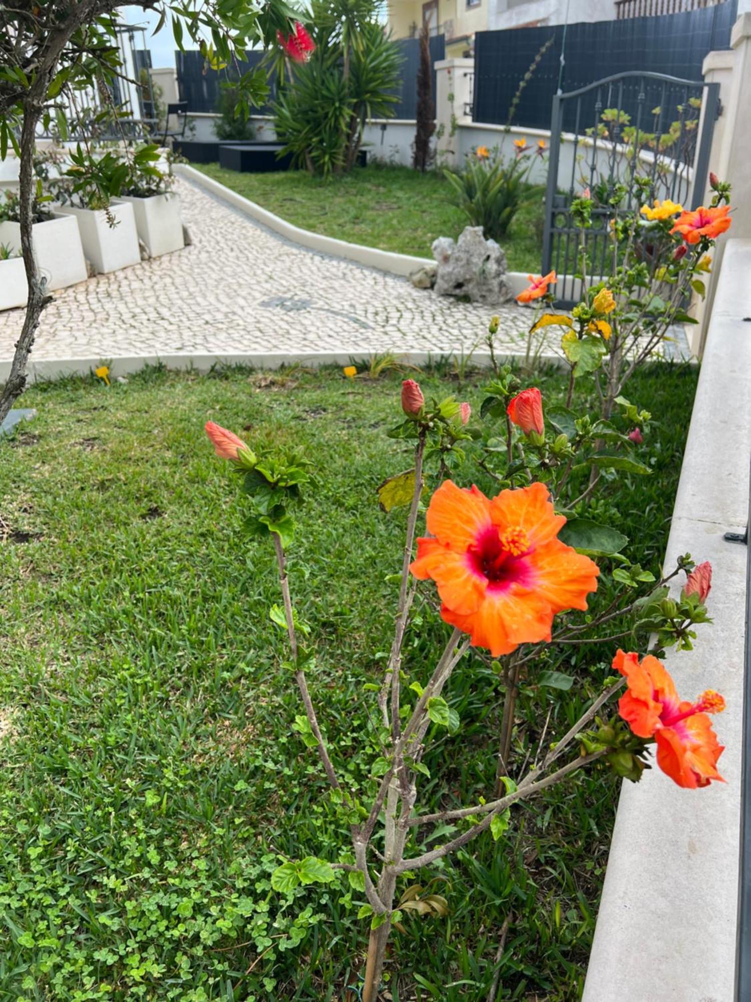 Nazare Oasis Suites 外观 照片